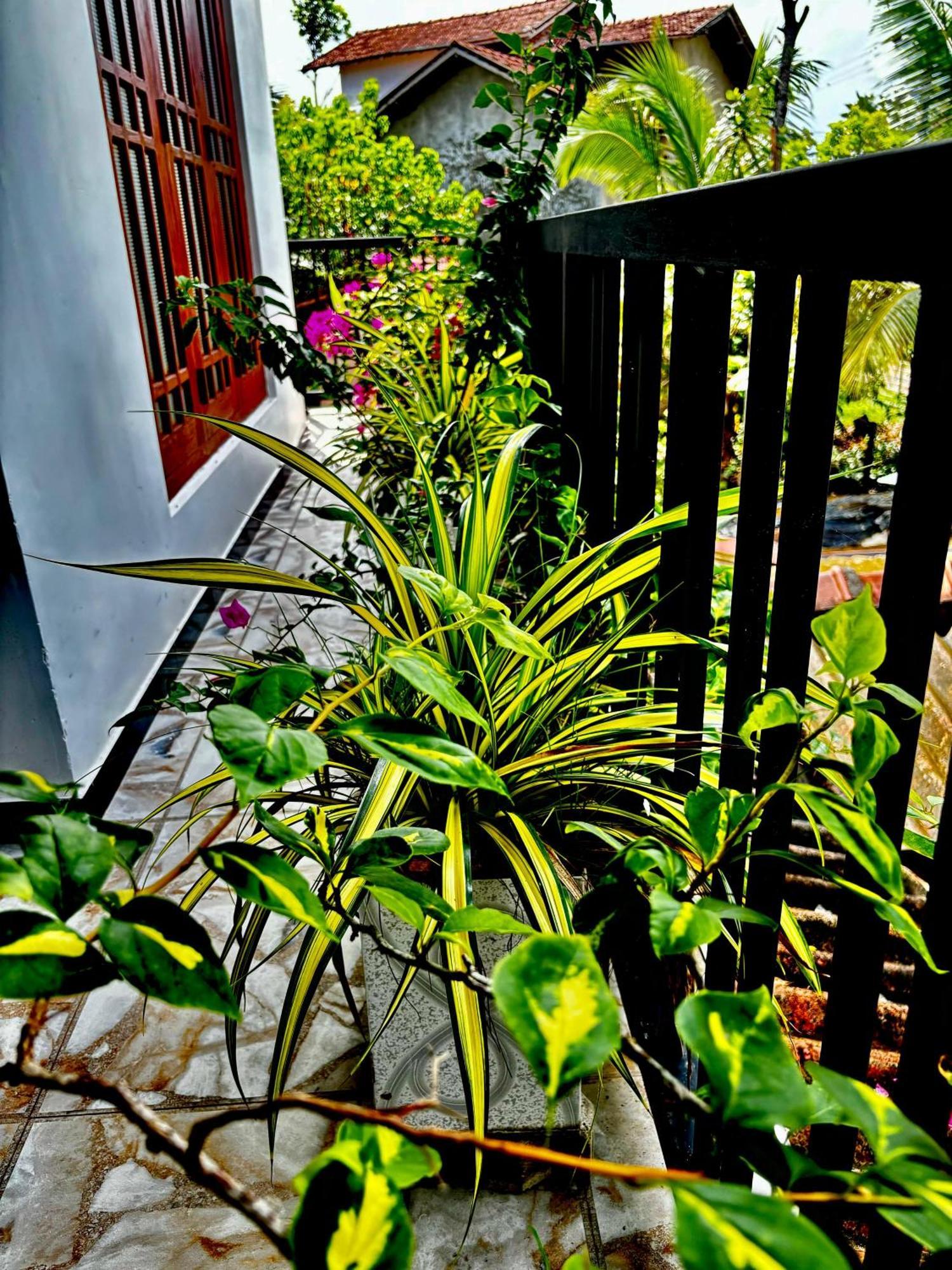 Fourcoock Villa Kosgoda Exterior photo