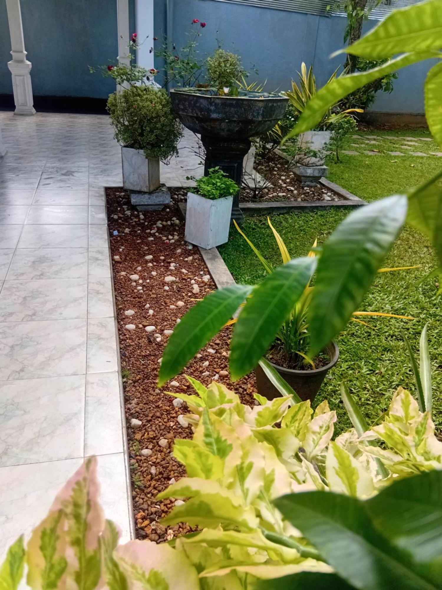 Fourcoock Villa Kosgoda Exterior photo